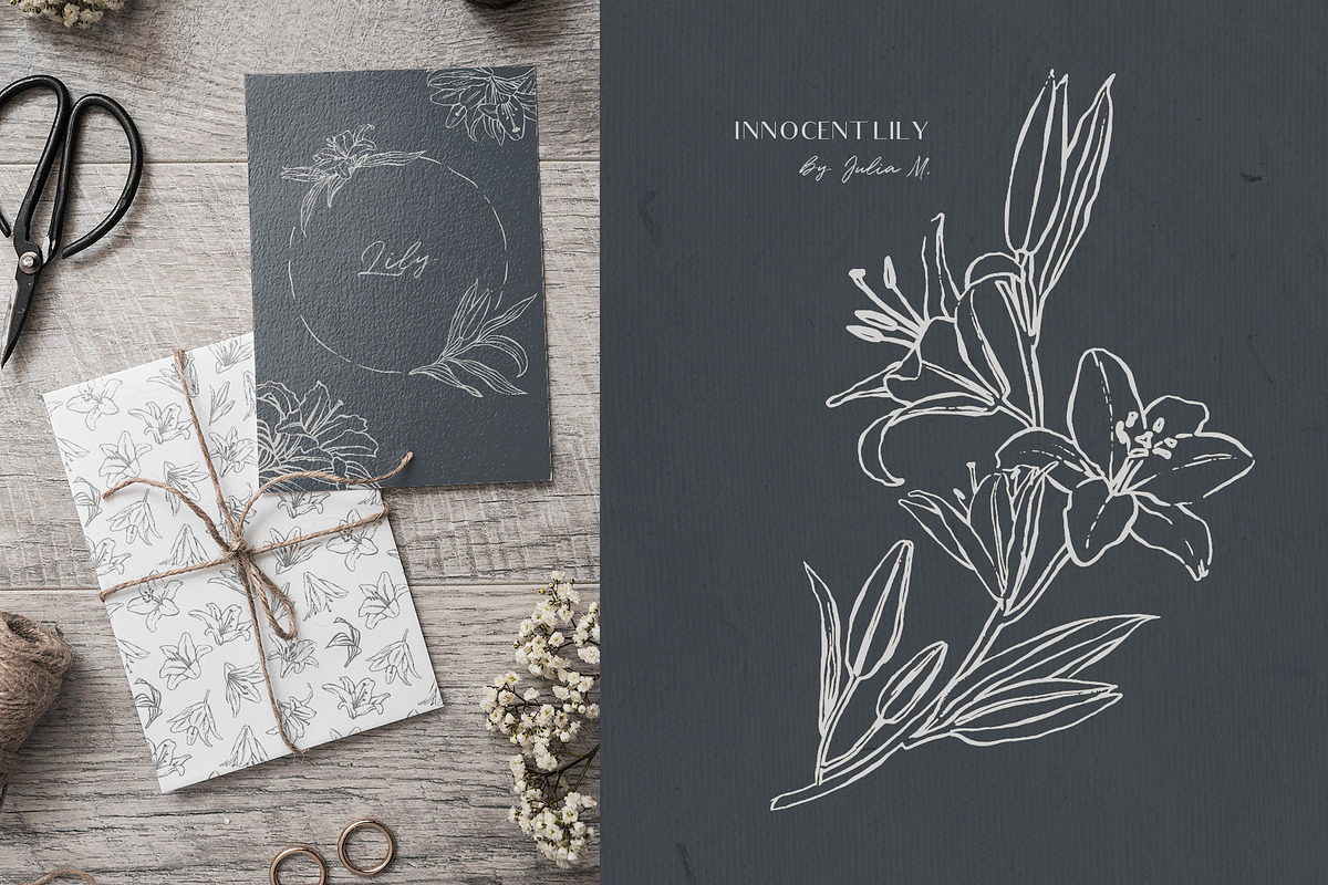 Innocent Lily - Floral Line Art, an Illustration by Julia M. Watercolor (Photo 7 of 11)