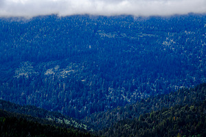 Mist Rolling Over Bald Hills, a Nature Photo by Jillian Butolph