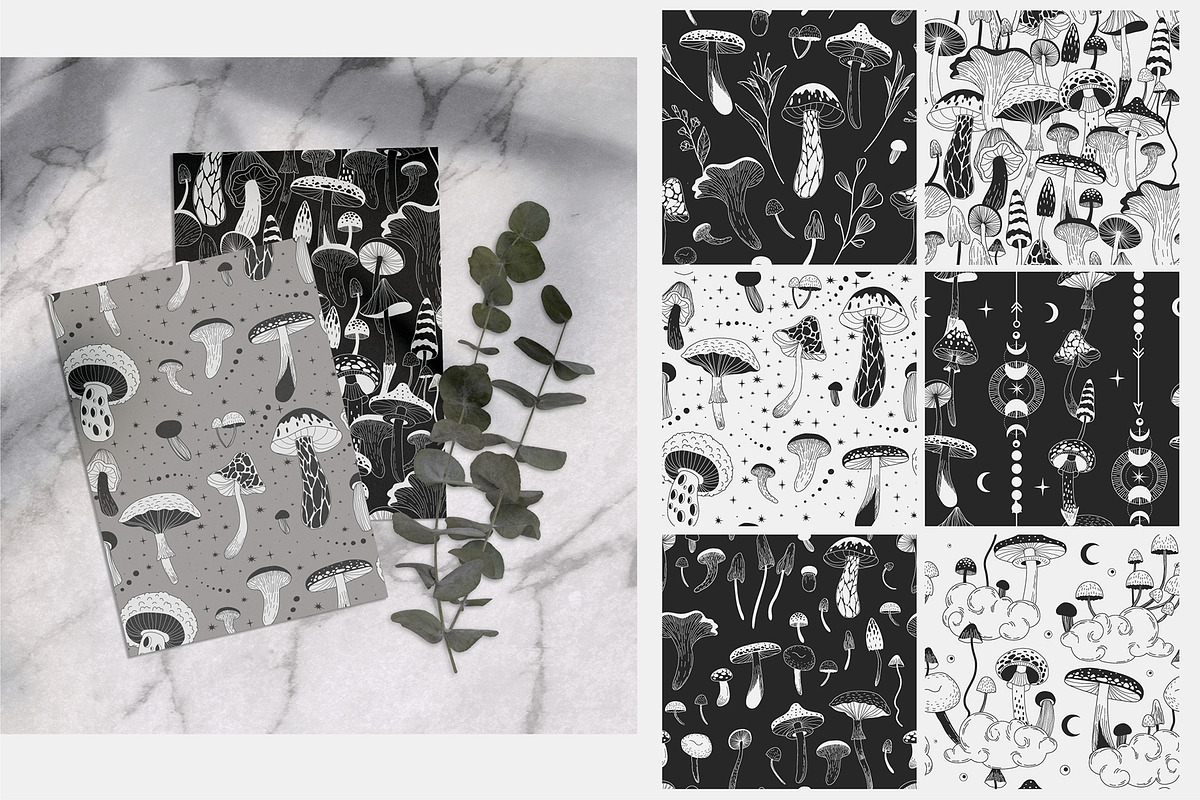 Mushrooms. collection, a Decorative Illustration by Merfin (Photo 4 of 6)