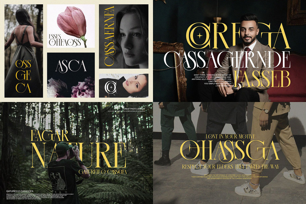 Elegant Ligature Serif  Font Bundle, a Serif Font by Alfinart (Photo 2 of 16)
