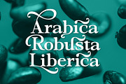 Dopamine Seekers - Stylish Serif, a Serif Font by Variatype (Thumbnail 4 of 8)