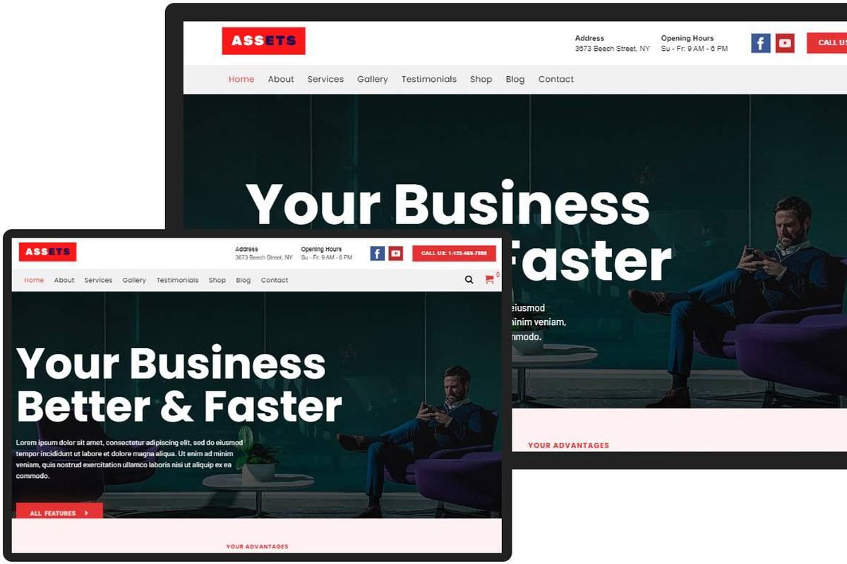 Assets Multi-Purpose WordPress Theme preview 2