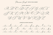 Parisian Vintage Calligraphy Script, a Script Font by Mila Garret (Thumbnail 10 of 13)