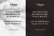 Chara - Sans Serif & Serif Duo, a Sans Serif Font by AndrewPixel (Thumbnail 4 of 8)