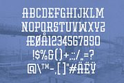 Fellars Typeface, a Serif Font by Jan-Christian Bruun (Thumbnail 6 of 6)