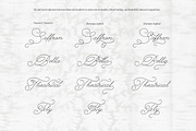 The Poetry Elegant Swash Script Font, a Script Font by AnMark (Thumbnail 8 of 13)
