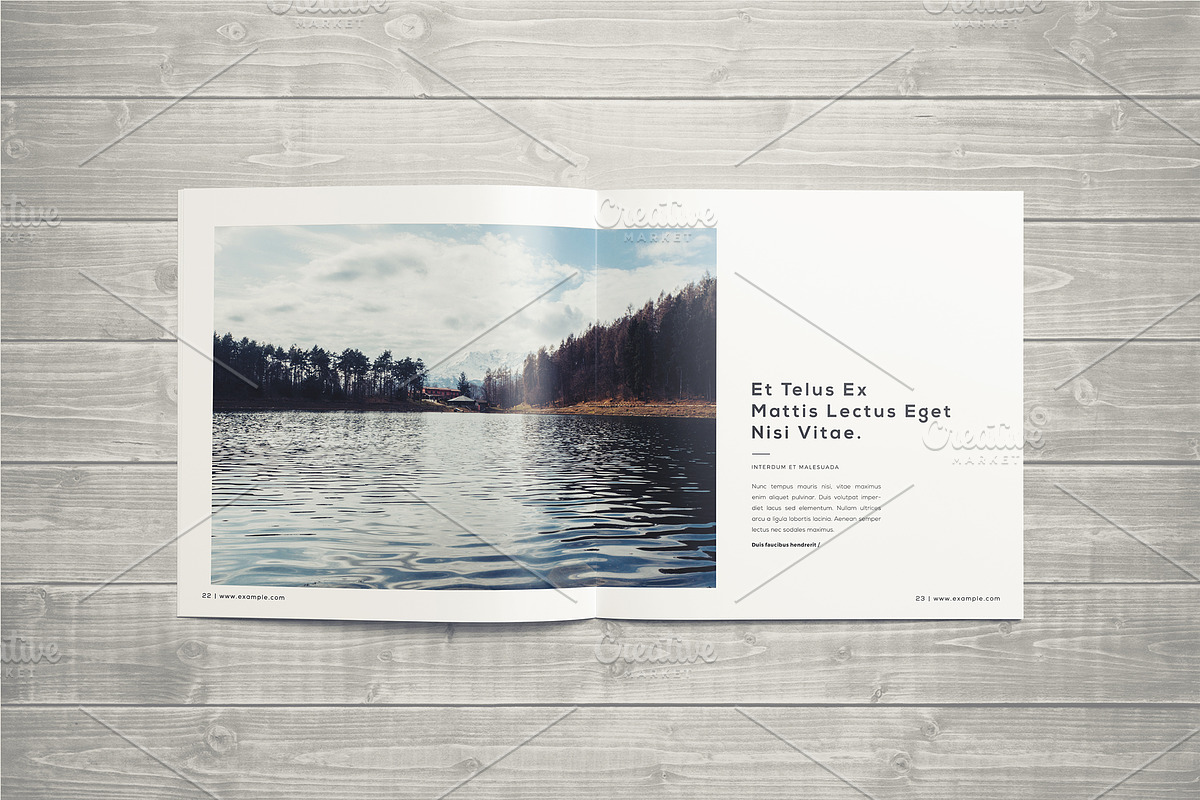 Photography Portfolio Template, a Brochure Template by ShapShapy (Photo 16 of 21)