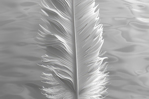 White Feather Standing on Reflective Water Surface, a Background Photo by José Manuel Gelpi