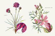 Vintage Flowers Vol.01 - Extra Large, an Illustration by Greta Ivy (Thumbnail 17 of 18)