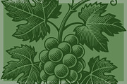 Woodcut-Style Wine Grapes, a Food Illustration by Electric Ink (Thumbnail 2 of 2)