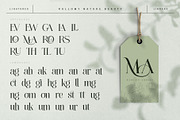 Rallomy Nature Beauty Serif, a Serif Font by alit design (Thumbnail 13 of 15)