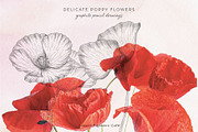 Sketch Pencil Poppy Flowers, an Illustration by Pigment Café (Thumbnail 2 of 8)