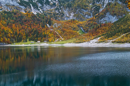 Tree stumps after deforestation near Hinterer Gosausee lake, Upp, a Nature Photo by YuriyB