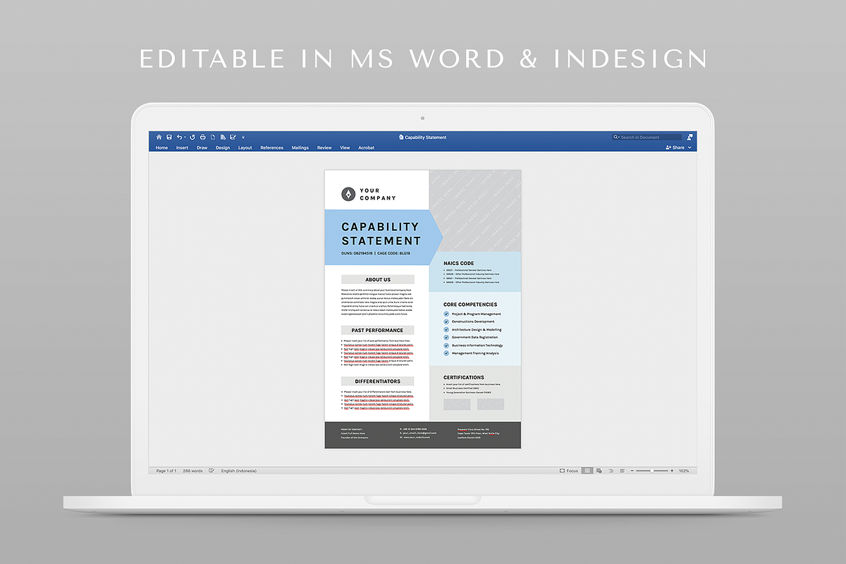 Capability Statement Bundle, a Flyer Template by Leaflove (Photo 10 of 10)