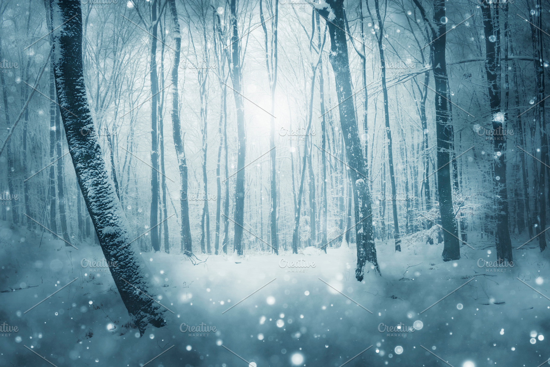 Magical winter forest with snow, a Holiday Photo by Atmospheric visuals