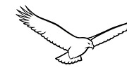 Powerful eagle flying wall art desig, an Illustration by Amazin_art (Thumbnail 17 of 31)