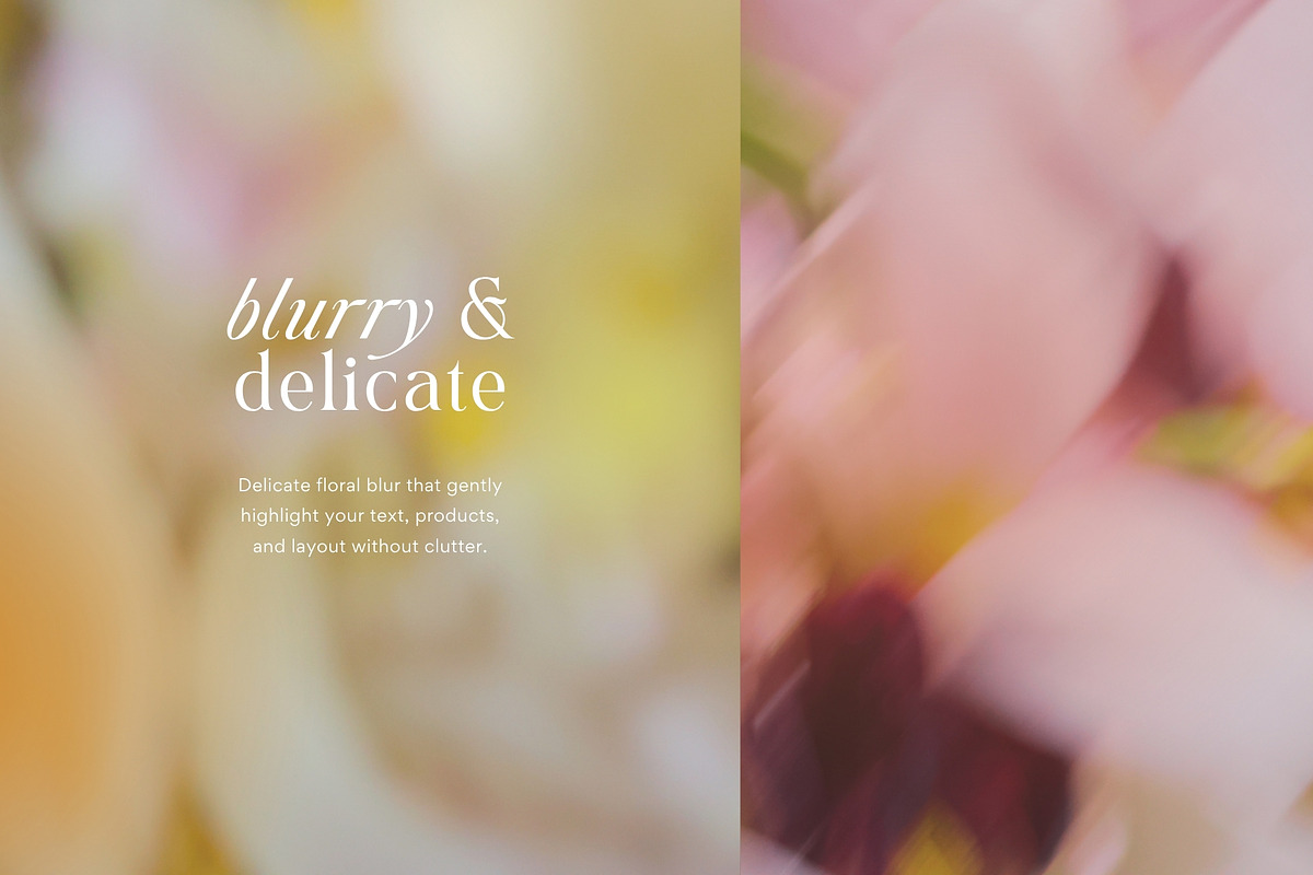 Blur Flower Abstract Backgrounds, a Background Graphic by eclosque (Photo 17 of 27)