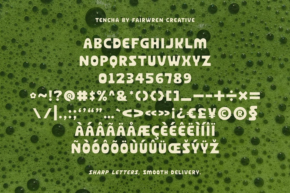 Tencha, a Sans Serif Font by Fairwren Creative (Photo 4 of 6)