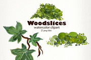 Watercolor Woodslices Clipart- Handp, an Illustration by SandraGraphicDesign (Thumbnail 2 of 7)