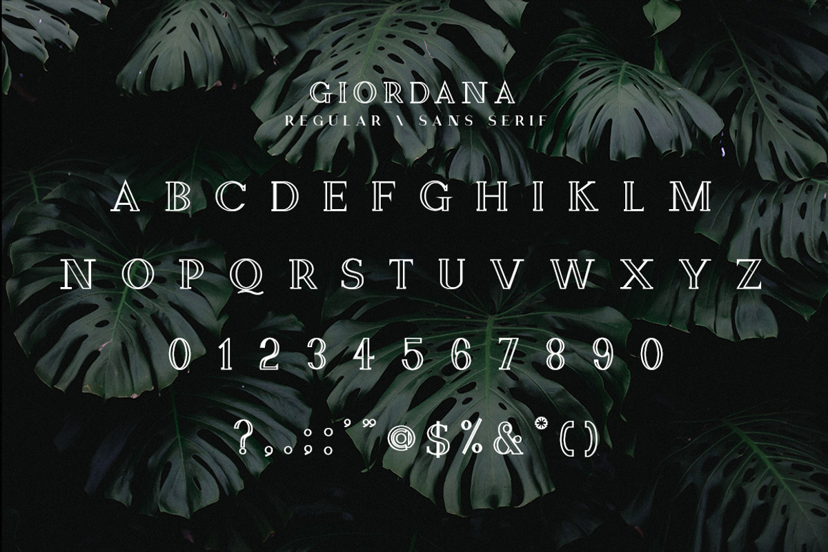 The Elegant Serif Font Bundle, a Serif Font by Zone 6 (Photo 12 of 14)