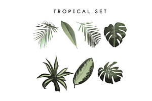 Tropical Patterns & Set VECTOR 2