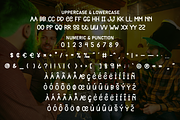 Party Grinch | Script Font, a Script Font by Scratchones (Thumbnail 7 of 8)