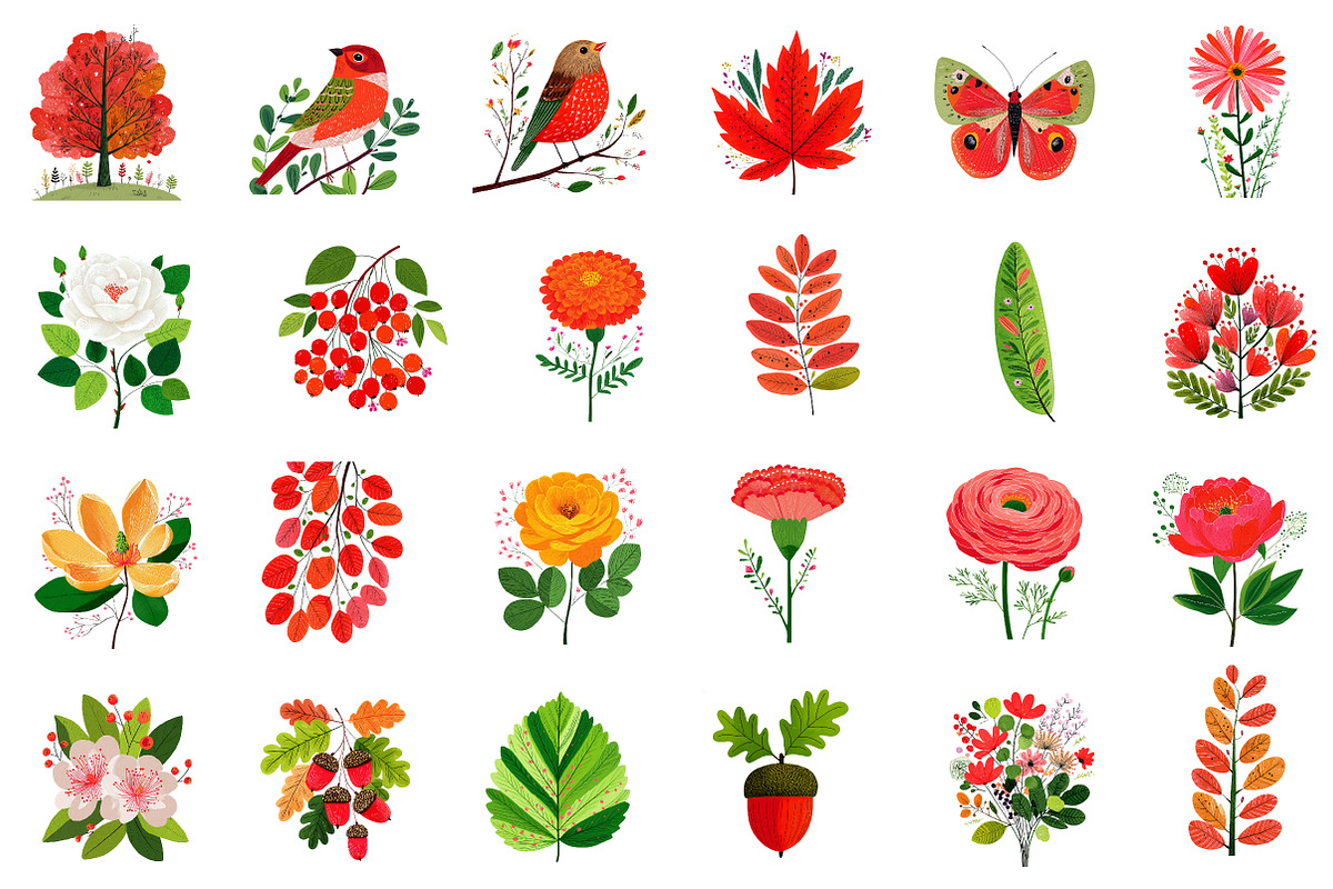 Fall Florals and Woodland Clipart, an Illustration by CreationArt (Photo 6 of 6)