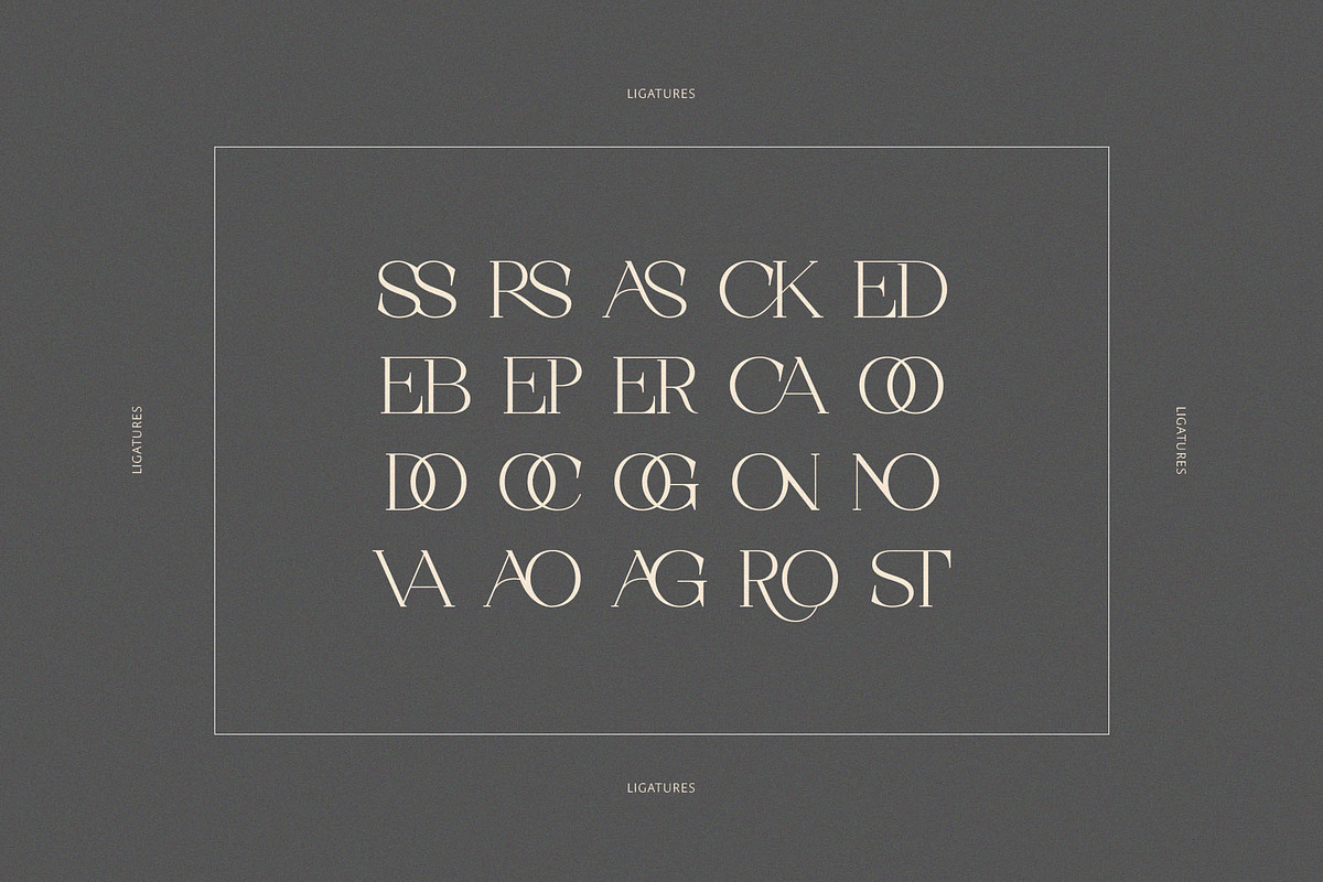 Rostedik – Modern Display Serif Font, a Serif Font by BrandSemut (Photo 8 of 8)