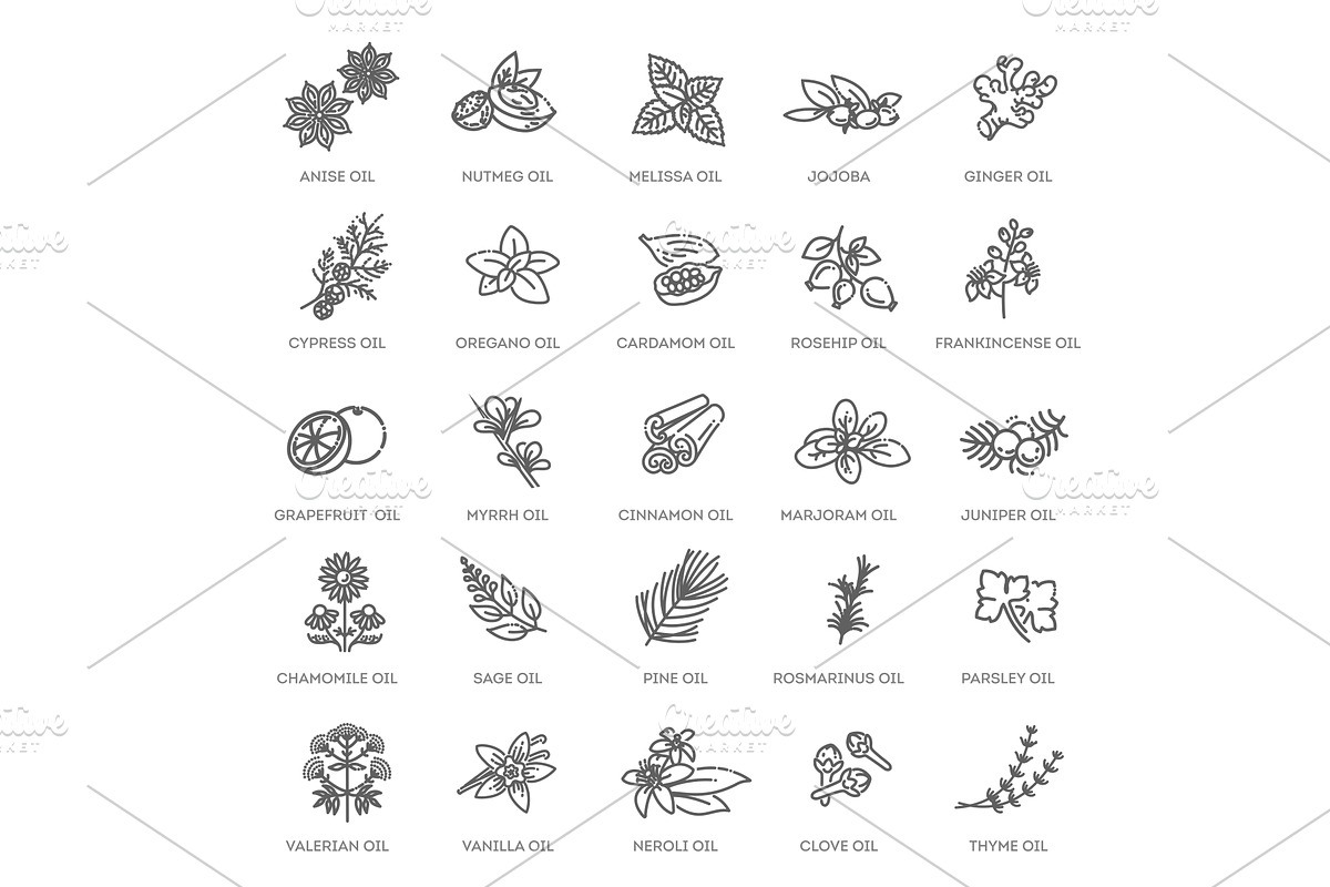 Natural ingredients and oils, an Illustration by Tettygreen