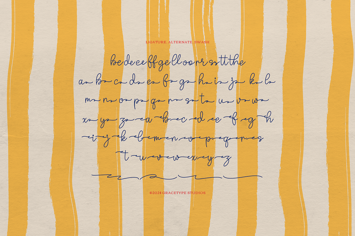 Lalatina Patricia Hand Drawn Script, a Handwritten Font by gracetype_studio (Photo 11 of 12)