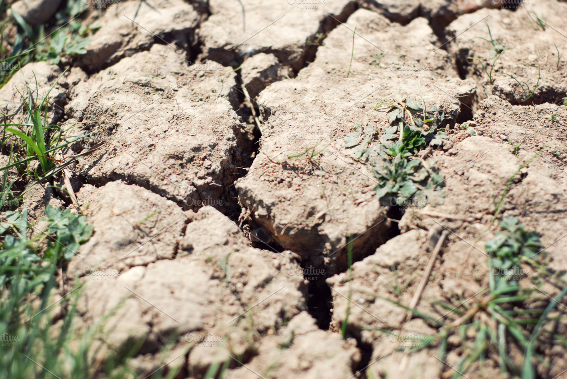 Drought Stock Photo Containing Drought And Environment