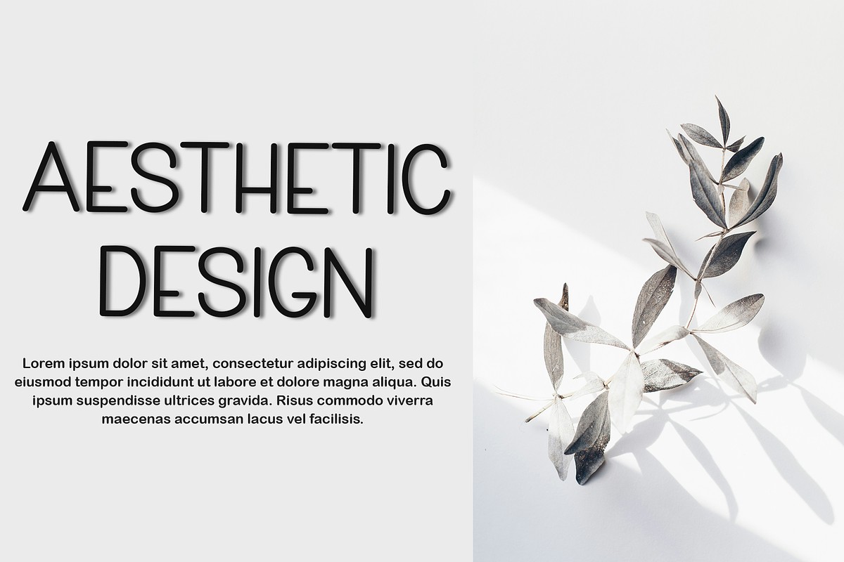 Humanist, a Sans Serif Font by FreshTypeINK (Photo 2 of 8)