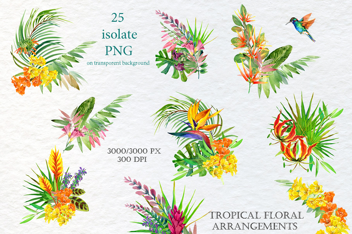 Watercolor Tropical plant & Bird, an Object Graphic by FineArt (Photo 6 of 22)