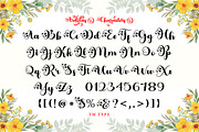 Ardilas, a Script Font by TM Type (Thumbnail 7 of 10)