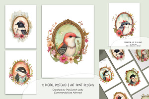 Bird Portraits Postcard Art Set, an Animal Illustration by The Dutch Lady Designs