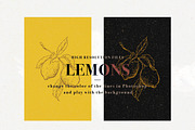 Lemons set of 11 pen sketches, a Decorative Illustration by Bee_in_a_Nest (Thumbnail 2 of 2)