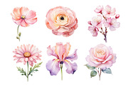 Wedding Watercolor Flowers Clipart., a Decorative Illustration by kaisorn (Thumbnail 2 of 5)