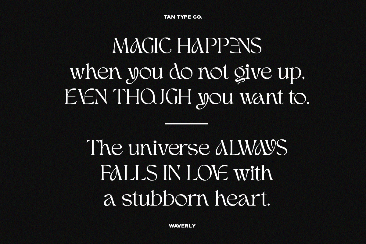 TAN - WAVERLY, a Serif Font by TanType (Photo 15 of 22)