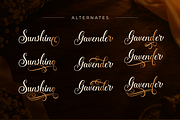 Lovenaliana, a Script Font by Ginart (Thumbnail 8 of 10)
