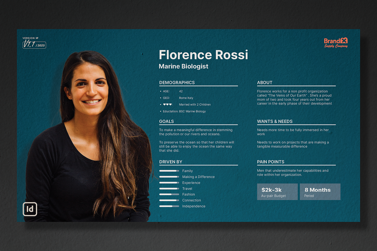 Agenzia I User Persona Template +, a Branding & Logo Template by Brand_x Supply Co. (Photo 6 of 22)