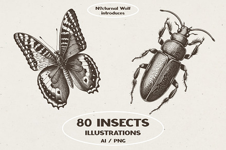 Vintage Insects Illustrations, an Animal Illustration by Nocturnal Wolf