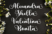 Snowlove, a Script Font by Rotterlab Studio (Thumbnail 3 of 8)