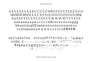 Regis | Elegant Serif Font Family, a Serif Font by Type and Co. (Thumbnail 16 of 20)