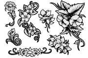 Flowers - Hand Drawn, a Decorative Illustration by BusOne (Thumbnail 1 of 2)