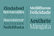Nevoa Condensed Light, a Script Font by OceaneM (Thumbnail 6 of 7)