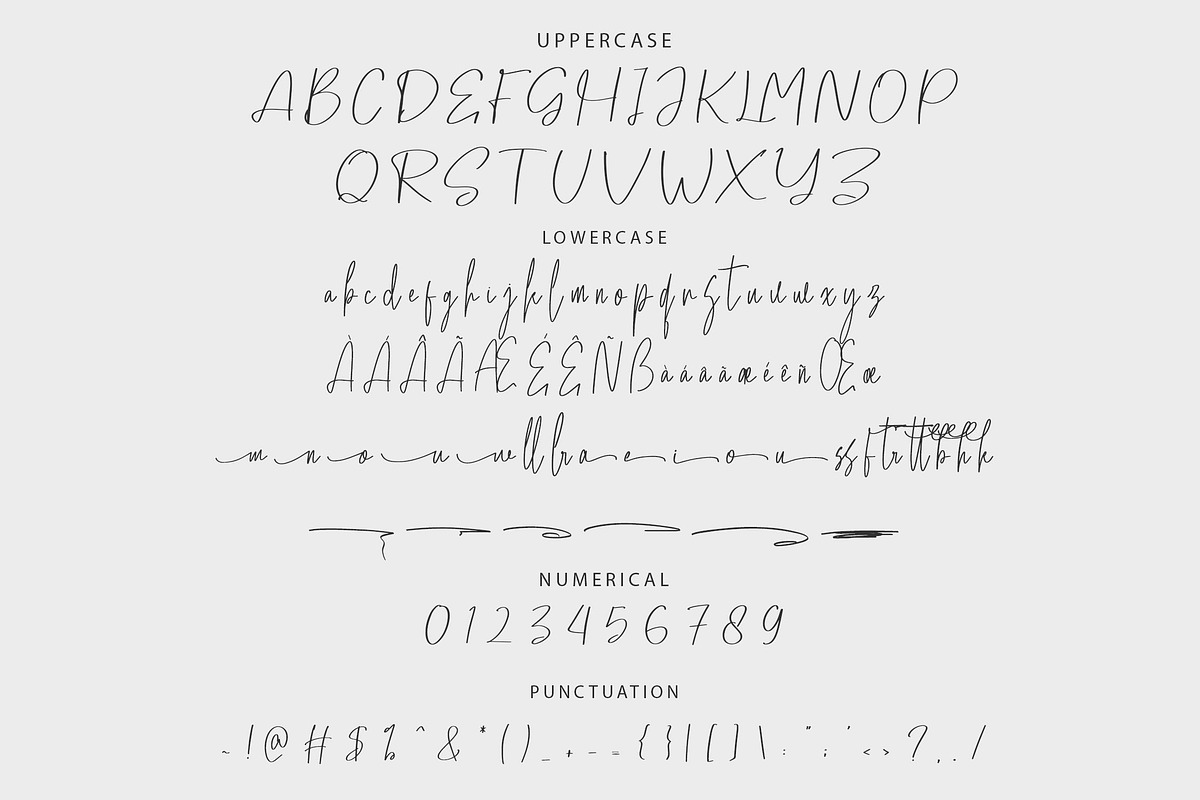 Sofija Elegant Script Font, a Script Font by NTC Graphic (Photo 8 of 9)