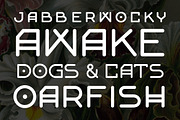 Francis Nouveau, a Sans Serif Font by Selma’s Patty (Thumbnail 4 of 4)