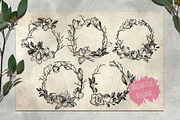 Magnolia flowers. Engraving style., a Decorative Illustration by Alena Kaz (Thumbnail 11 of 12)