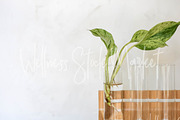 Holistic Lifestyle Bundle (Green), a Health & Medical Photo by Wellness Stock Market (Thumbnail 33 of 37)