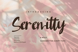 Serenitty - Modern Script fonts